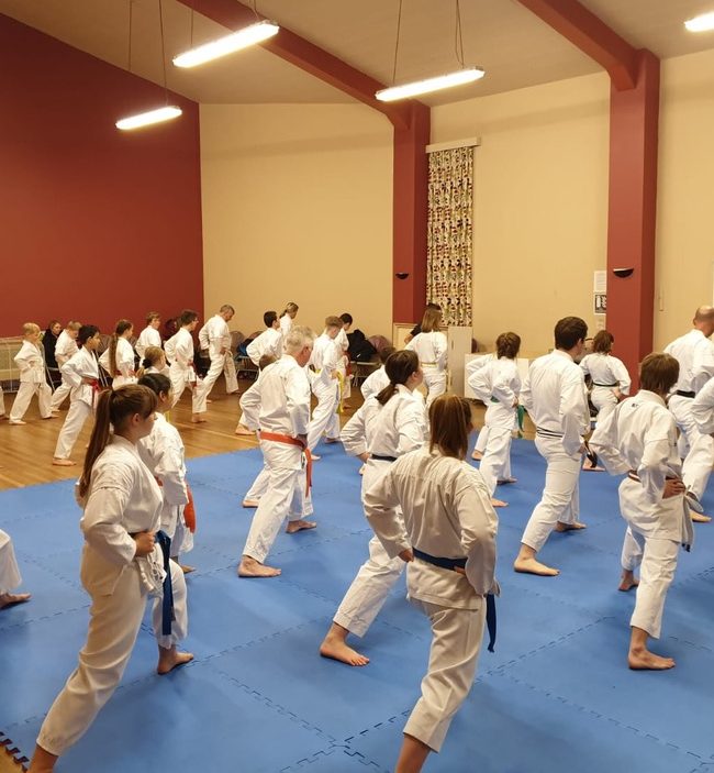 Red Dragon Karate Training